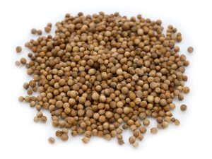 Coriander Seeds NZ Grown