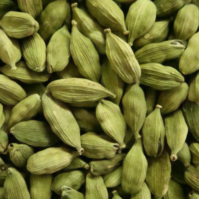 How To Use Cardamom Seeds In Tea at Barbara Lemley blog