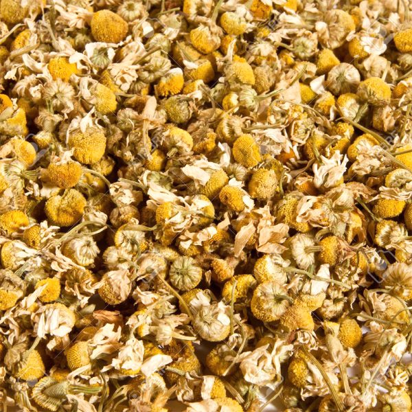 Chamomile - Image 2