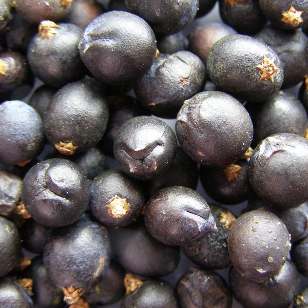Juniper Berries Macedonian - Image 2