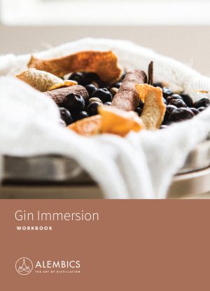 Gin Immersion Workbook