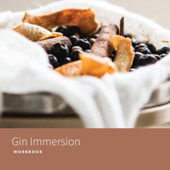 Gin Immersion Workbook