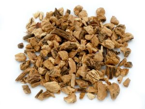 Gentian Root