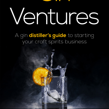 Gin Ventures by Marcel Thompson